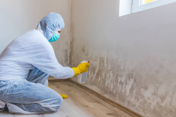 Commercial Mold Remediation assessment for commercial property in Burlington